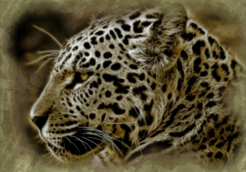 Der Jaguar Ist Das Heilige Tier Der Azteken