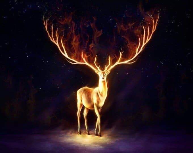 the sacred deer healer